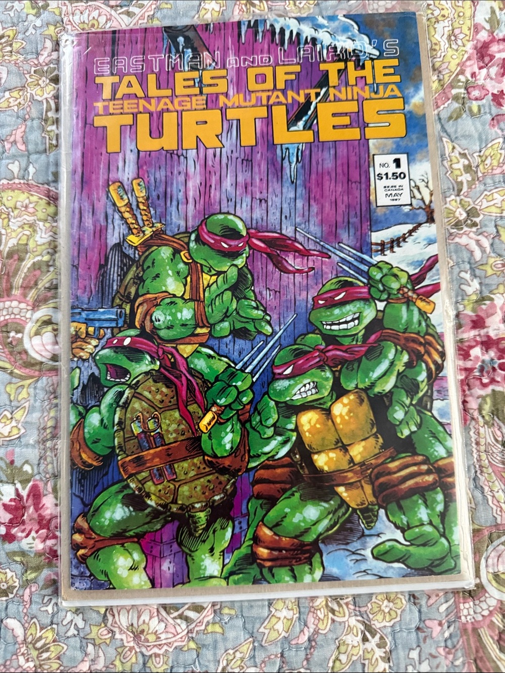 Tales of the Teenage Mutant Ninja Turtles Comic #1 - Green & Purple Cover